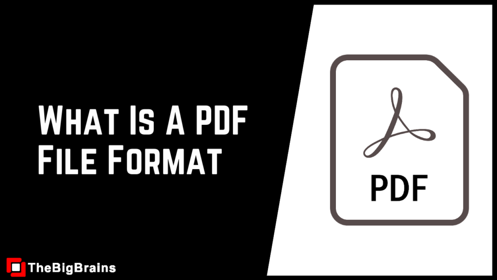 what-is-a-pdf-file-format-and-how-do-i-open-it-thebigbrains